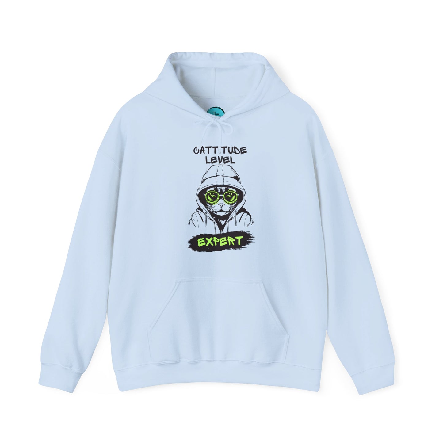 Cattitude Master Of Cool Cat Hoodie
