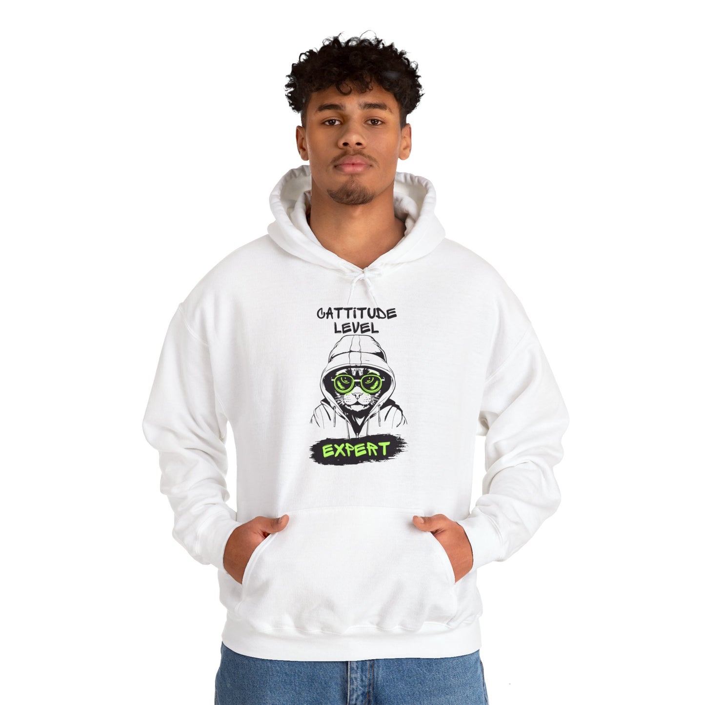 Cattitude Master Of Cool Cat Hoodie