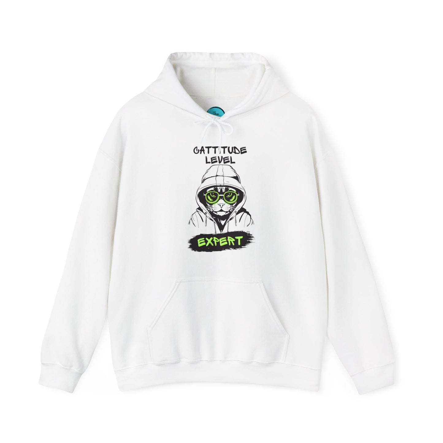 Cattitude Master Of Cool Cat Hoodie