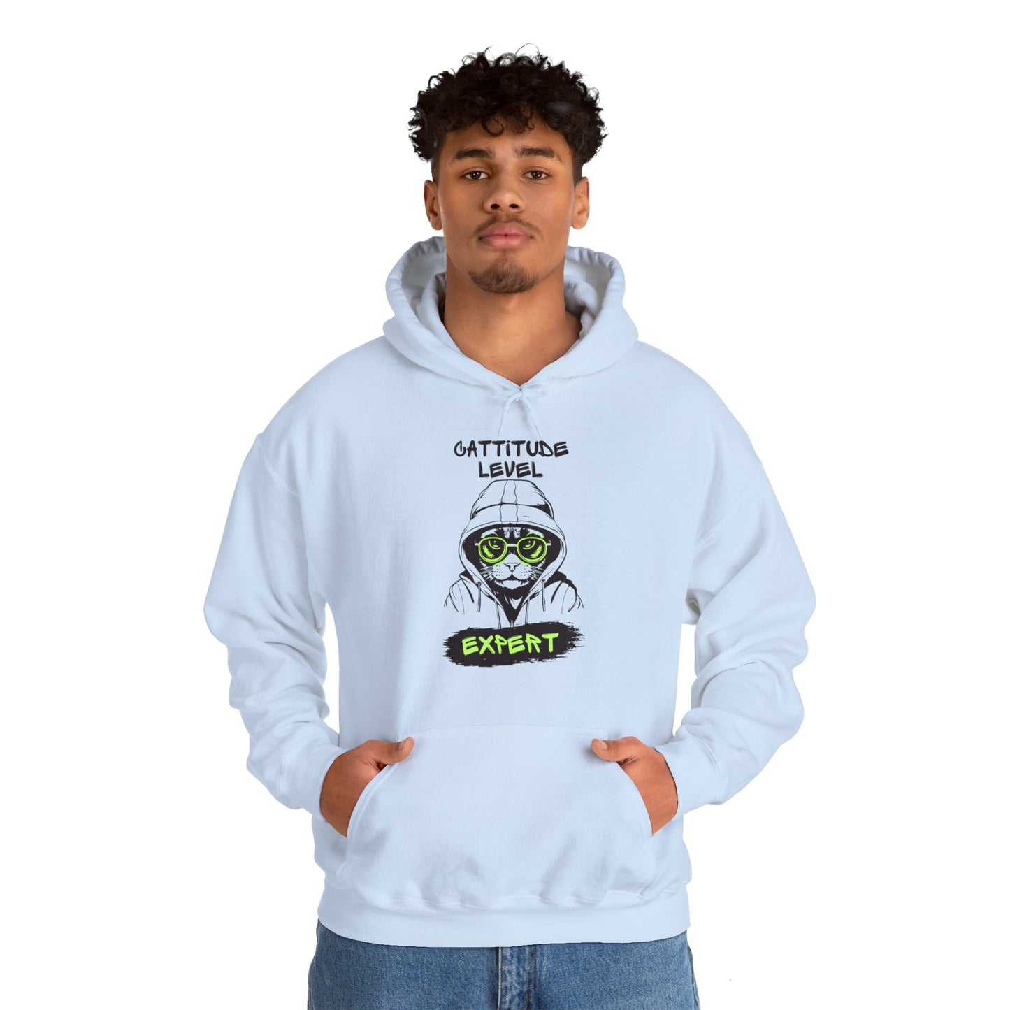 Cattitude Master Of Cool Cat Hoodie