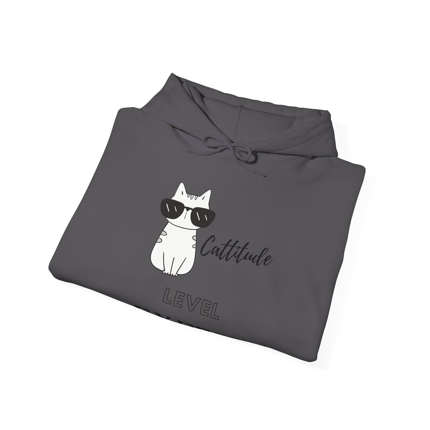 Cattitide Level Expert