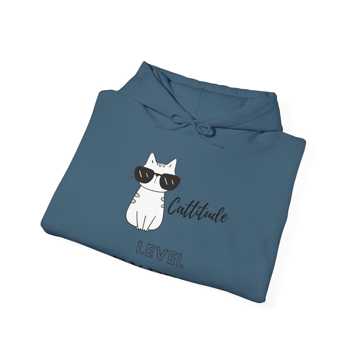 Cattitide Level Expert