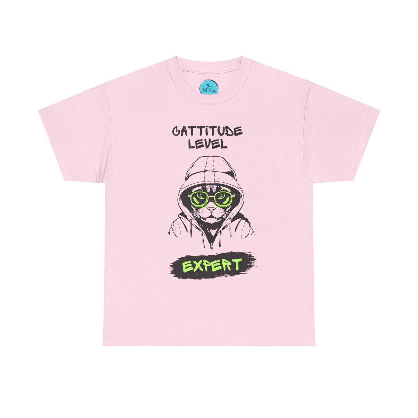 Cattitude Master of Cool - Cat Meme T-Shirt