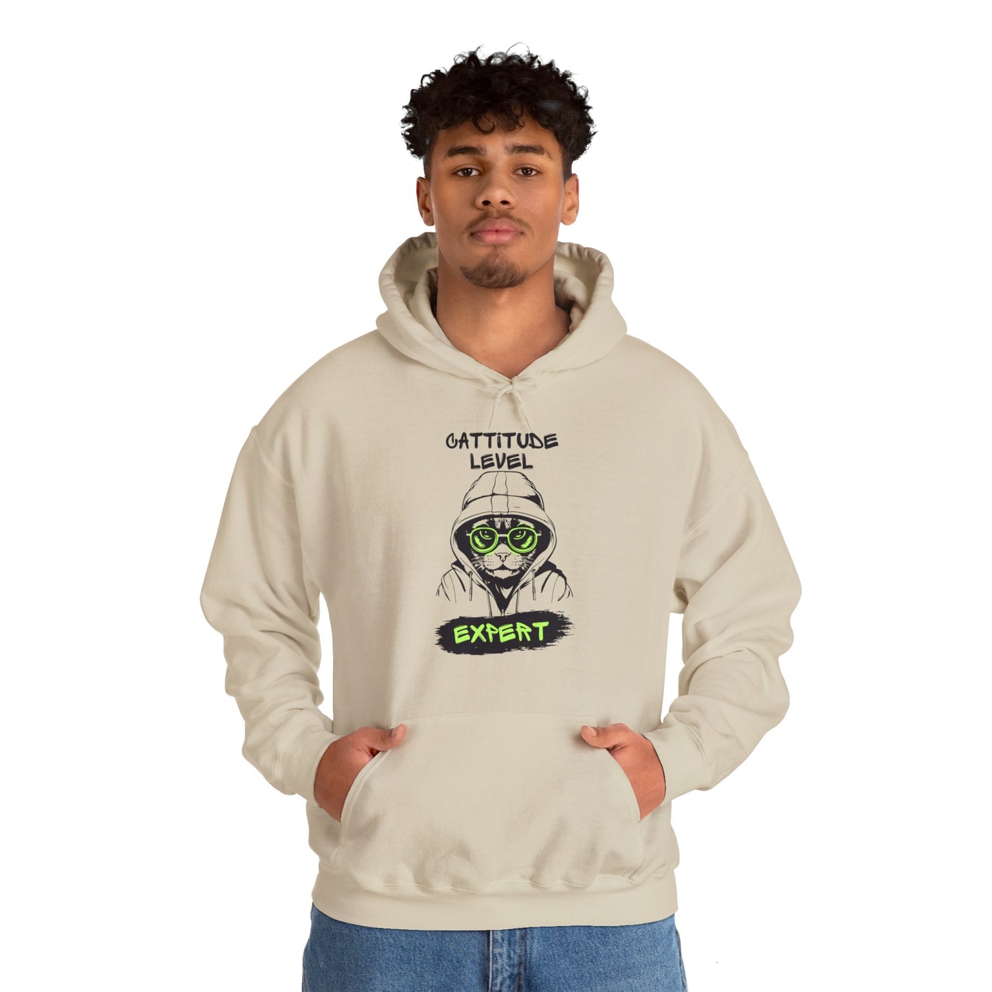 Cattitude Master Of Cool Cat Hoodie