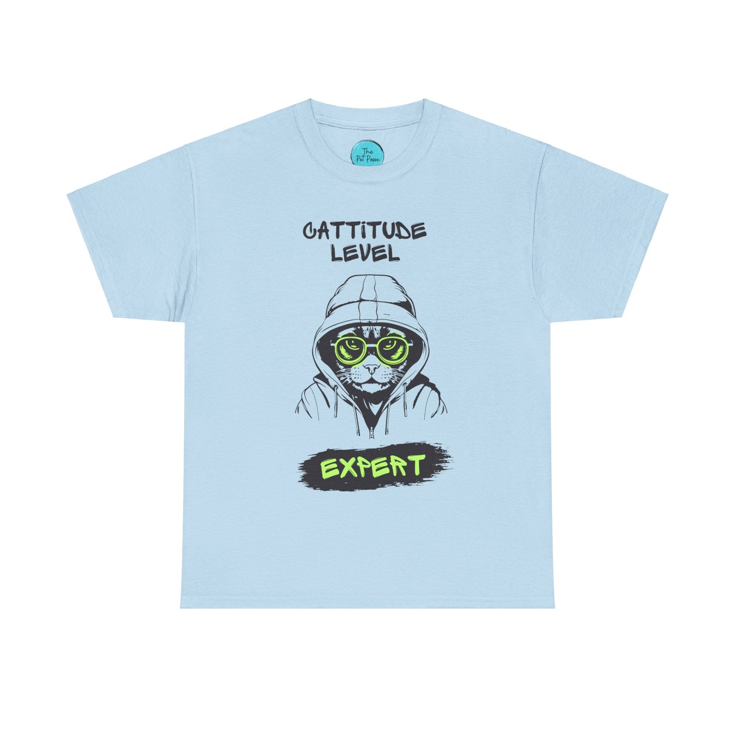 Cattitude Master of Cool - Cat Meme T-Shirt