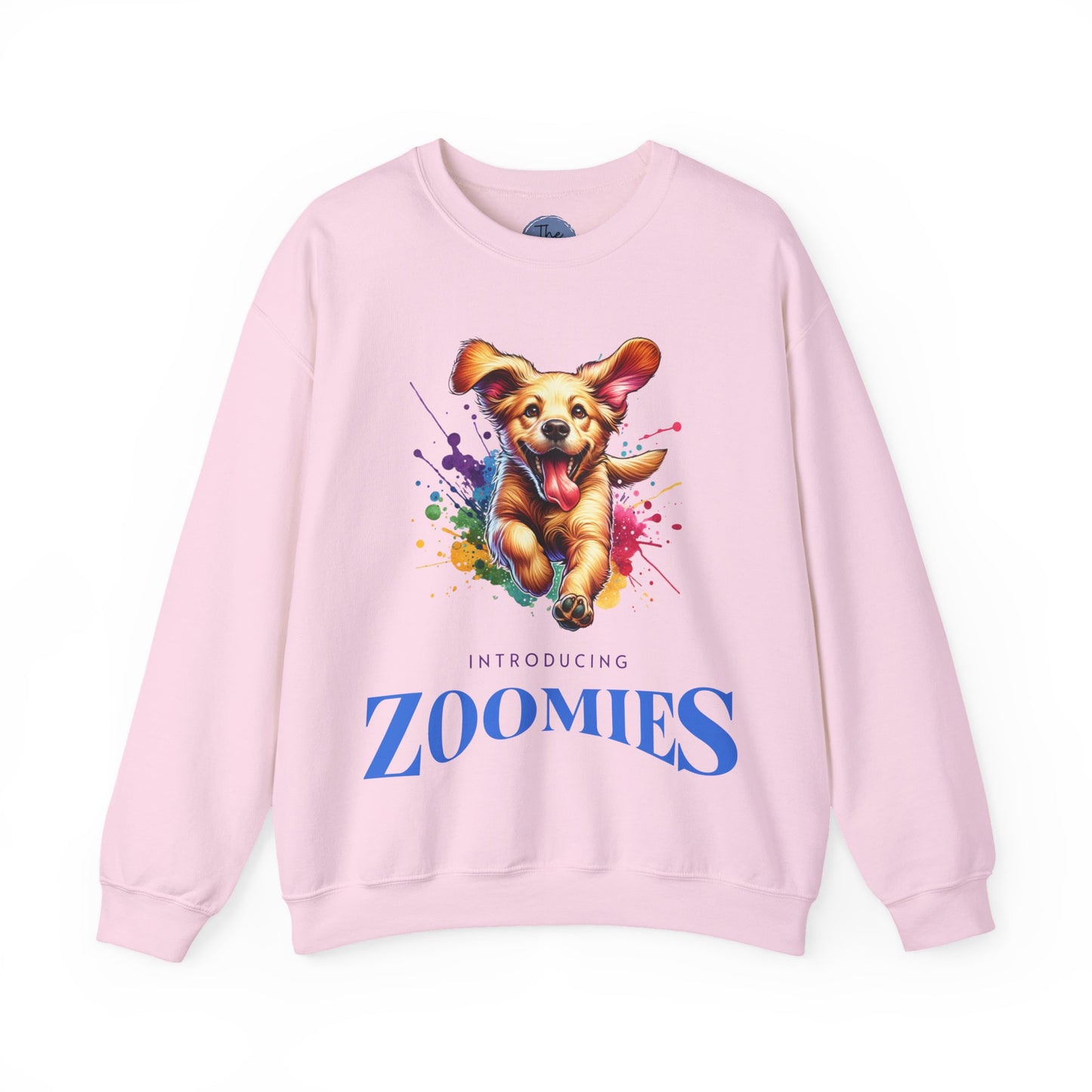 Introducing Zoomies  Sweater